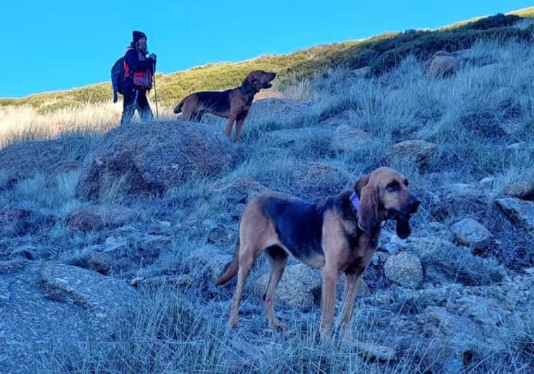 Búsqueda Sierra con perros