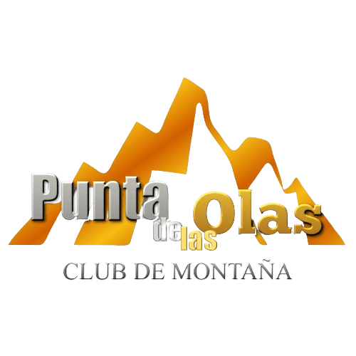 Logo-punta-de-olas-removebg-preview logo-punta-de-las-olas