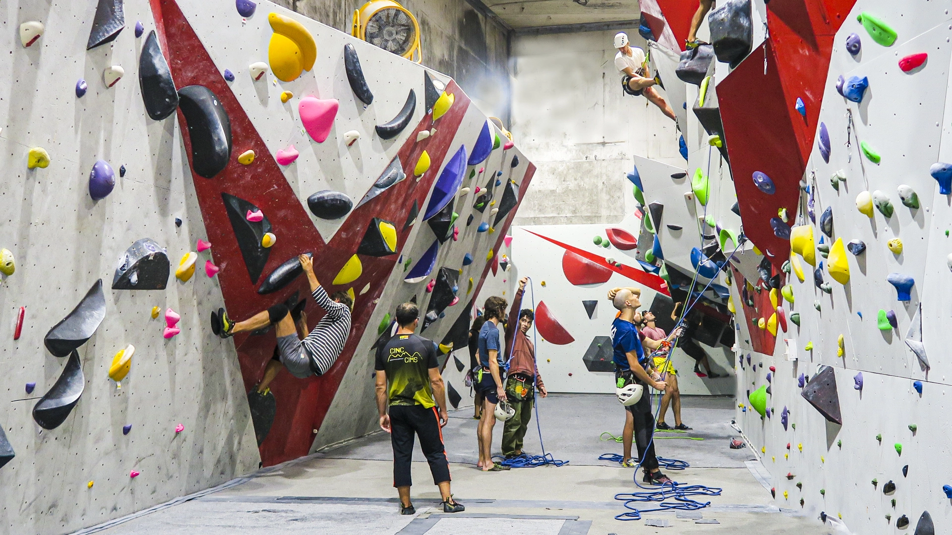 Roc 30 por dentro